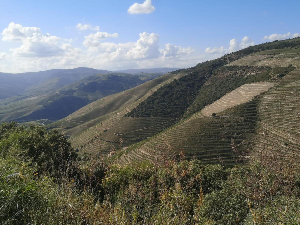 Douro Valley - Casa Da Praca Ervedosa do Douro Zewnętrze zdjęcie