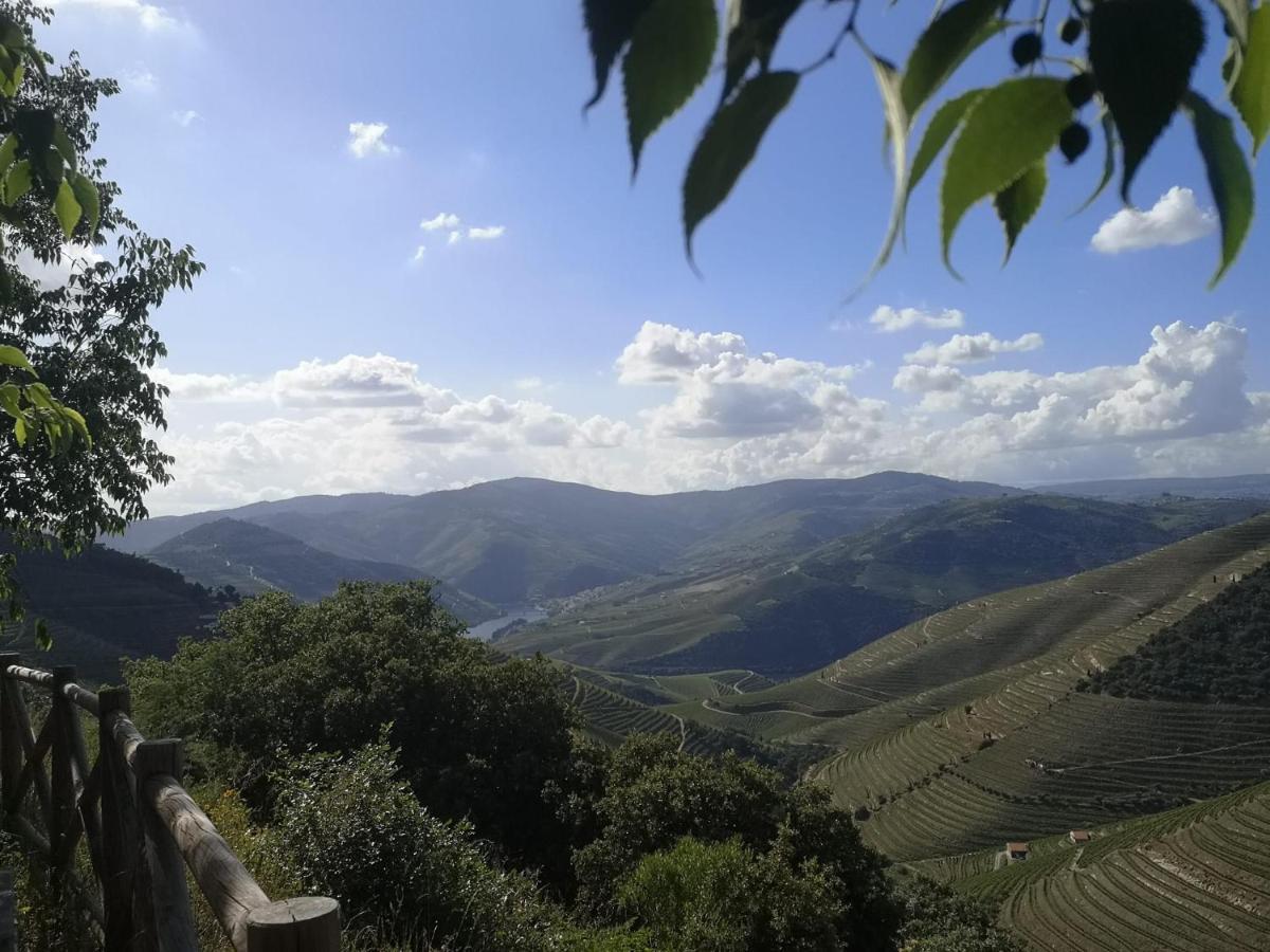 Douro Valley - Casa Da Praca Ervedosa do Douro Zewnętrze zdjęcie